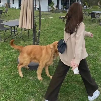 莱拉兄弟
